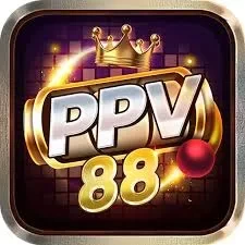 bandar88